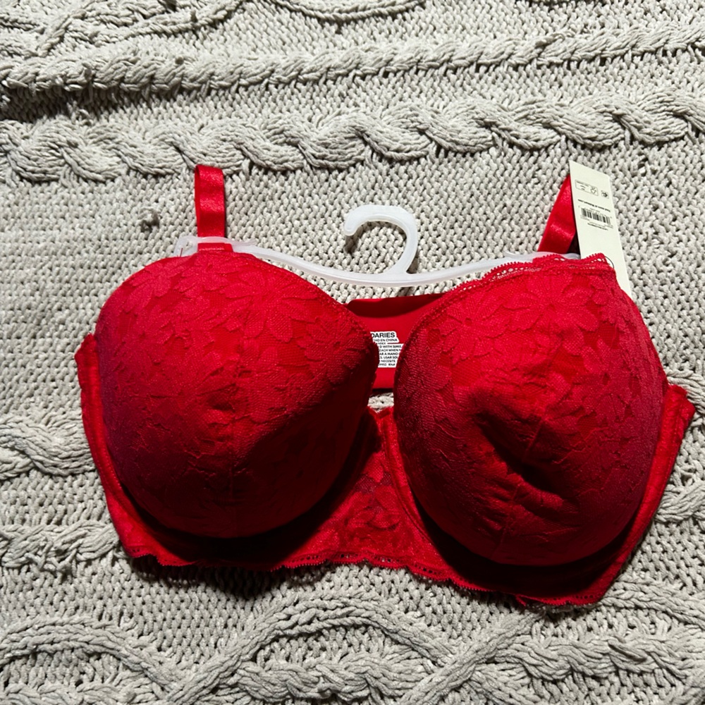 No Boundaries Scarlet Lace Bra